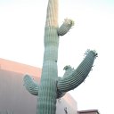 arizona from other cameras - DSCF1620